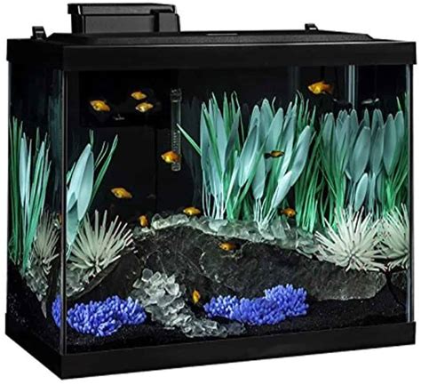 Best 20 Gallon Fish Tank – 7 Best (2024 Reviews) .